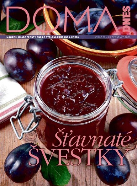 DOMA DNES - 29.7.2020