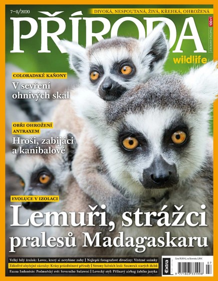 Příroda 7-8/2020