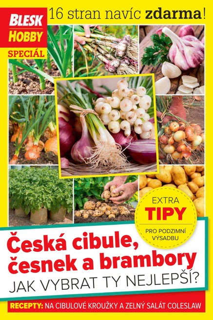 Příloha Blesk Hobby - 09/2020