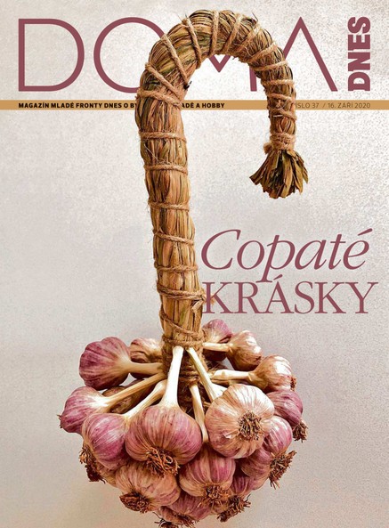 DOMA DNES - 16.9.2020