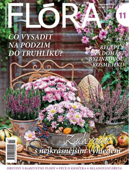 Flora 11-2020
