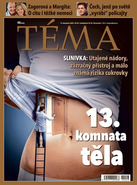 TÉMA DNES - 13.11.2020