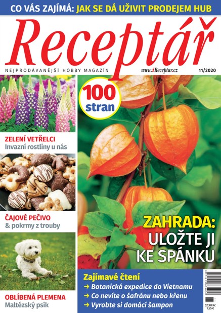 Receptář 11/2020