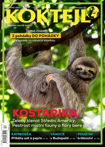 Koktejl 12/2020