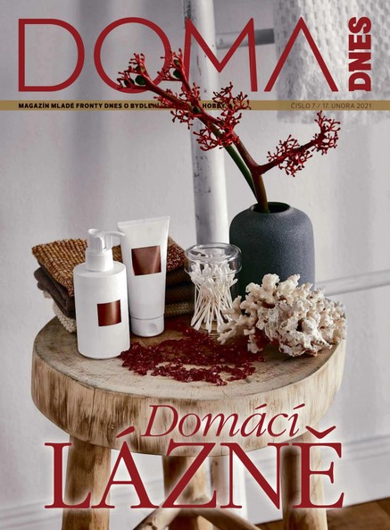 DOMA DNES - 17.2.2021