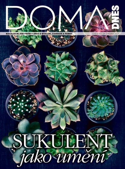 DOMA DNES - 24.2.2021