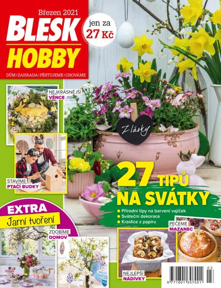 Blesk Hobby - 03/2021