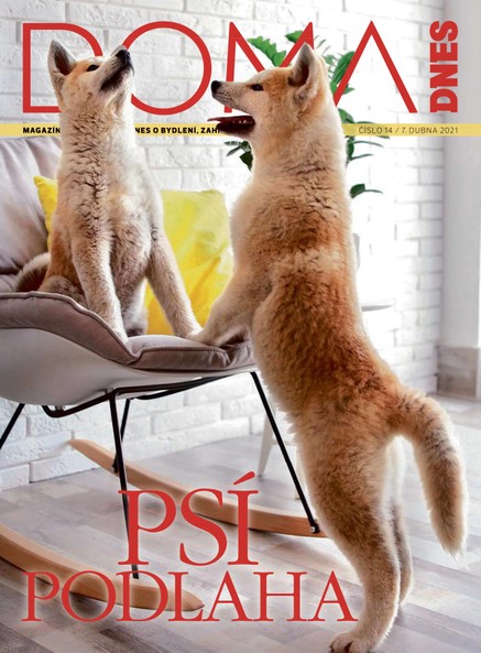 DOMA DNES - 7.4.2021