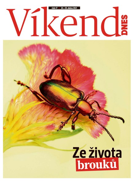 Magazín VÍKEND DNES - 24.4.2021