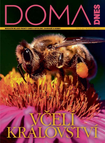 DOMA DNES - 19.5.2021