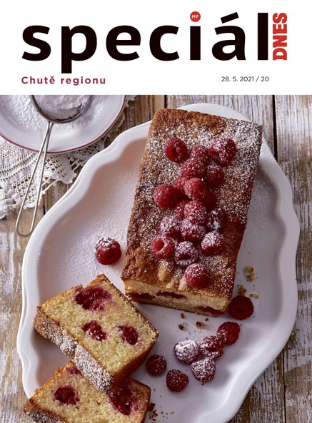 Magazín DNES Speciál Severní Čechy - 28.5.2021