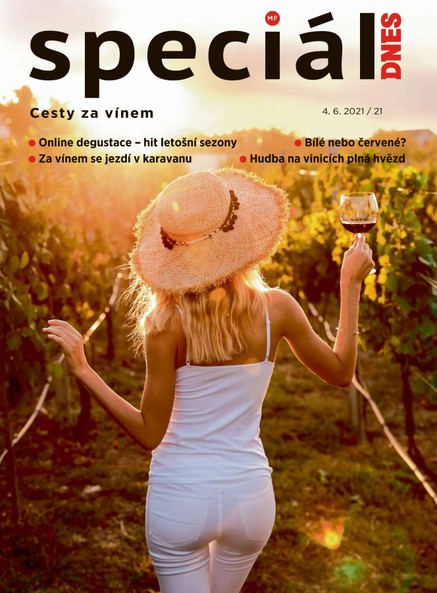 Magazín DNES Speciál Severní Čechy - 4.6.2021
