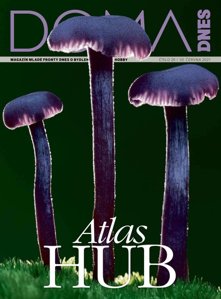 DOMA DNES - 30.6.2021