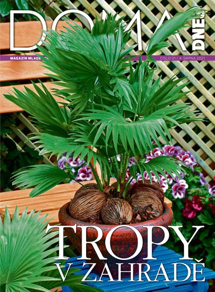 DOMA DNES - 4.8.2021