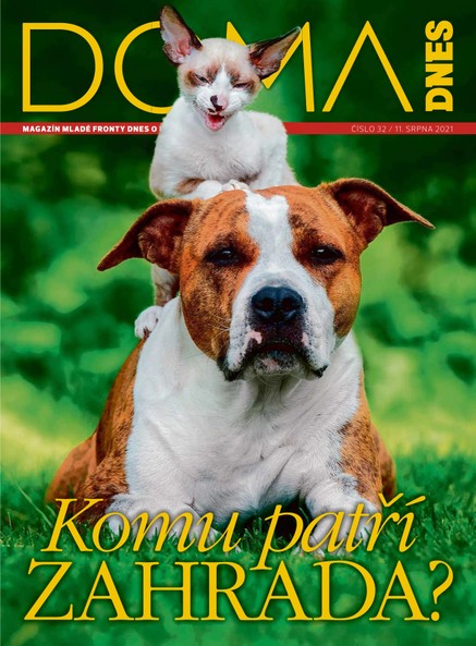 DOMA DNES - 11.8.2021