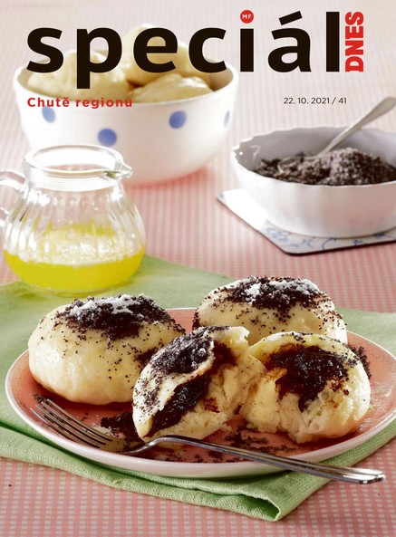 Magazín DNES Speciál Brno a Jižní Morava - 22.10.2021