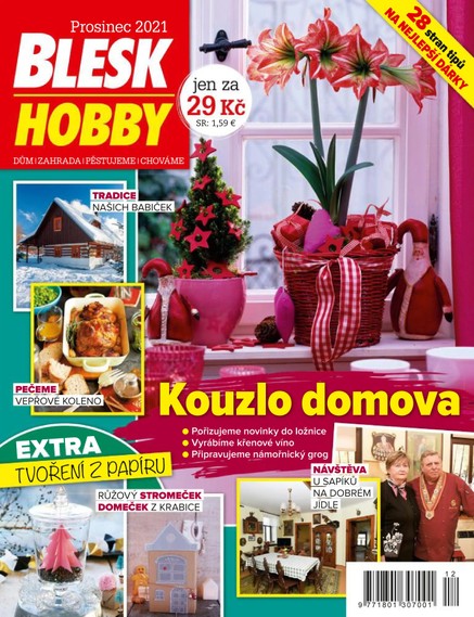 Blesk Hobby - 12/2021