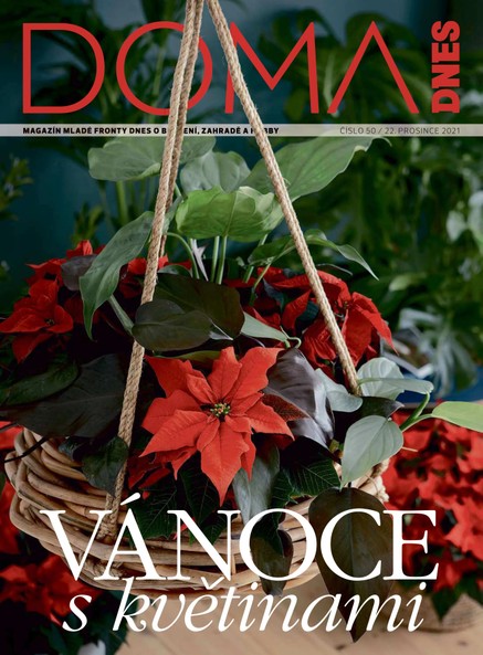 DOMA DNES - 22.12.2021