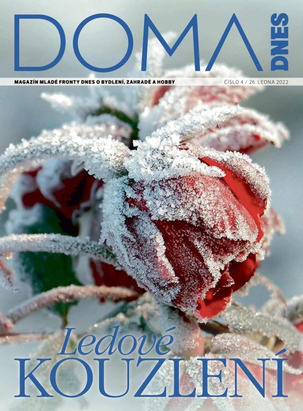 DOMA DNES - 26.1.2022