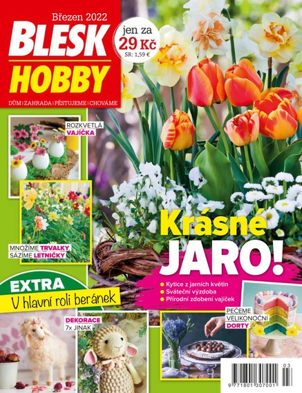 Blesk Hobby - 03/2022