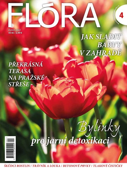 Flora 4-2022