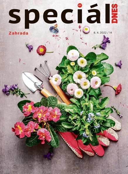Magazín DNES Speciál - 8.4.2022