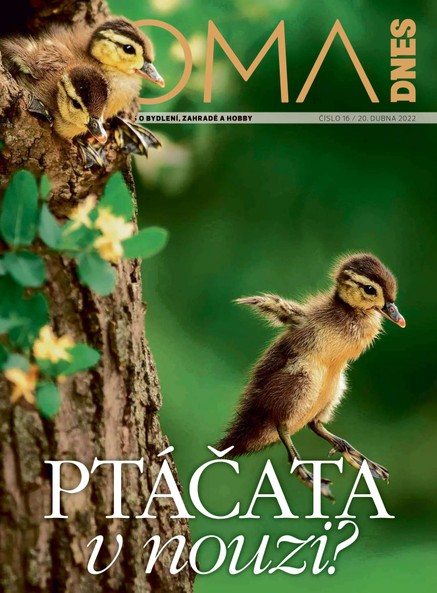 DOMA DNES - 20.4.2022