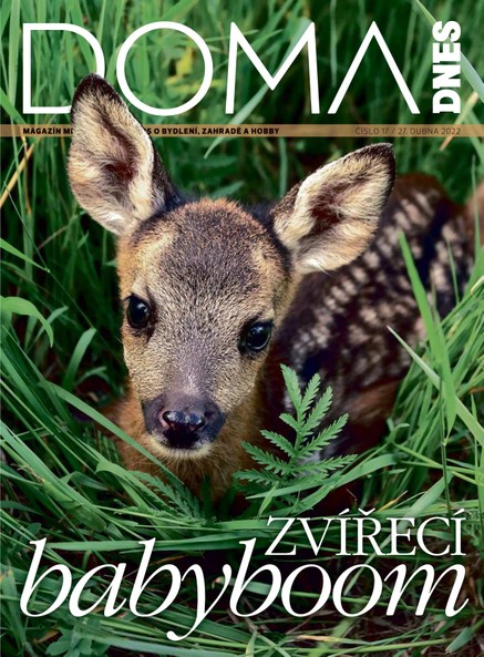 DOMA DNES - 27.4.2022