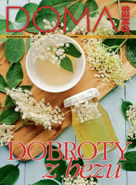 DOMA DNES - 1.6.2022