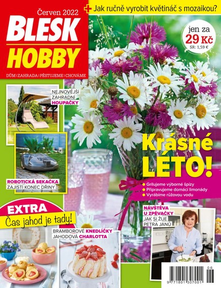 BLESK HOBBY - 06/2022