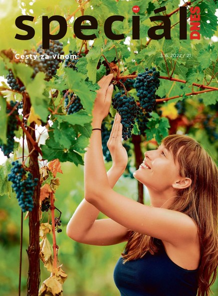 Magazín DNES Speciál Olomoucký - 3.6.2022