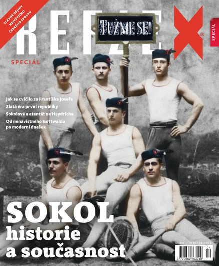 Sokol, historie a současnost