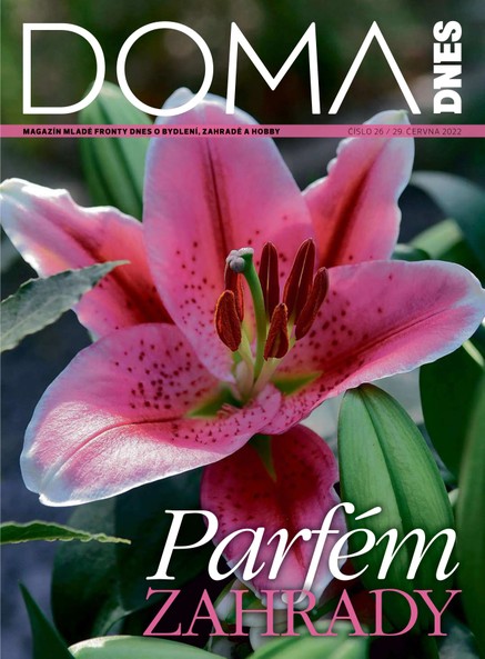 DOMA DNES - 29.6.2022
