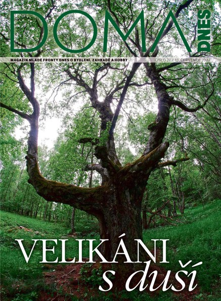 DOMA DNES - 13.7.2022