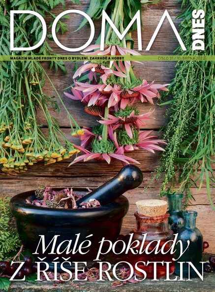 DOMA DNES - 10.8.2022