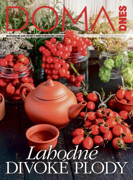 DOMA DNES - 12.10.2022