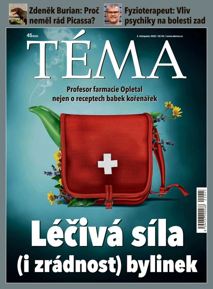 TÉMA DNES - 4.11.2022