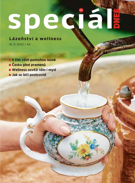 Magazín DNES SPECIÁL Jižní Čechy - 18.11.2022