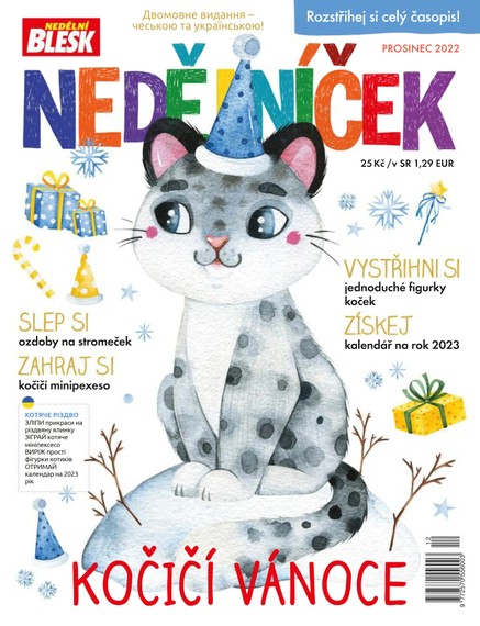 NEDĚLNÍČEK - 12/2022