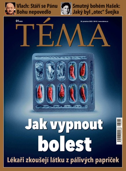 TÉMA DNES - 30.12.2022