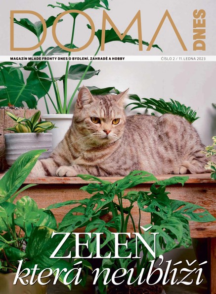 DOMA DNES - 11.1.2023