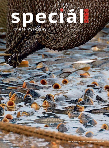 Magazín DNES Speciál - 13.1.2023