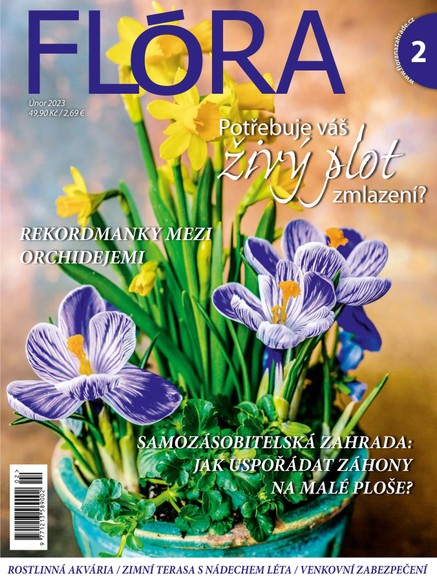 Flora 2-2023