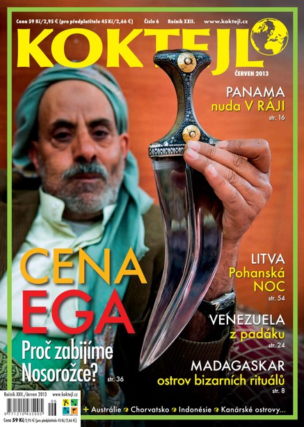Koktejl 6/2013
