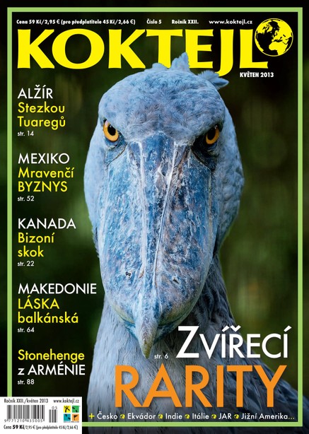 Koktejl 5/2013