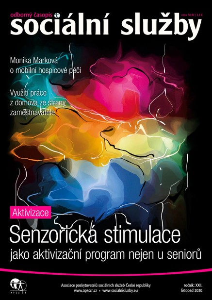 Sociální služby 11/2020