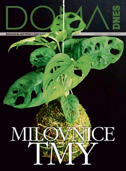 DOMA DNES - 1.2.2023