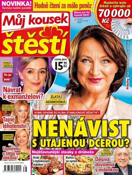 Můj kousek štěstí 38/17