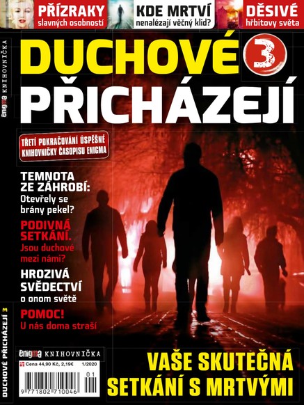 Knihovnička Enigma 1/20