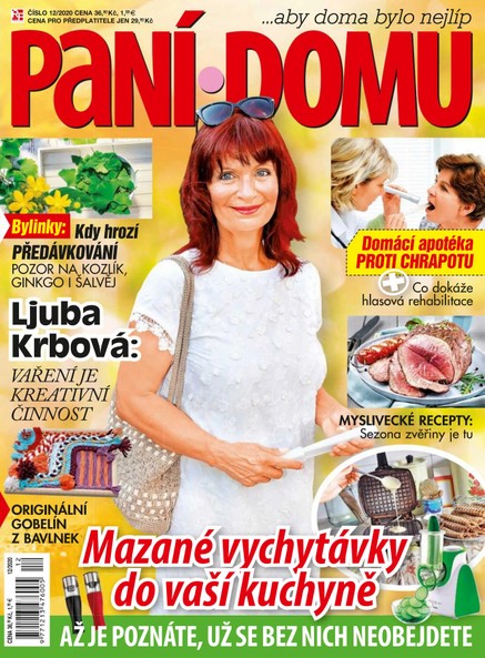 Paní domu 12/20
